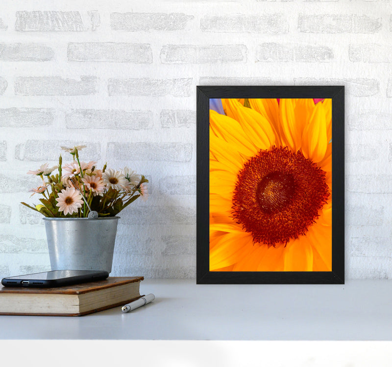 Sunflower Art Print by Proper Job Studio A4 White Frame