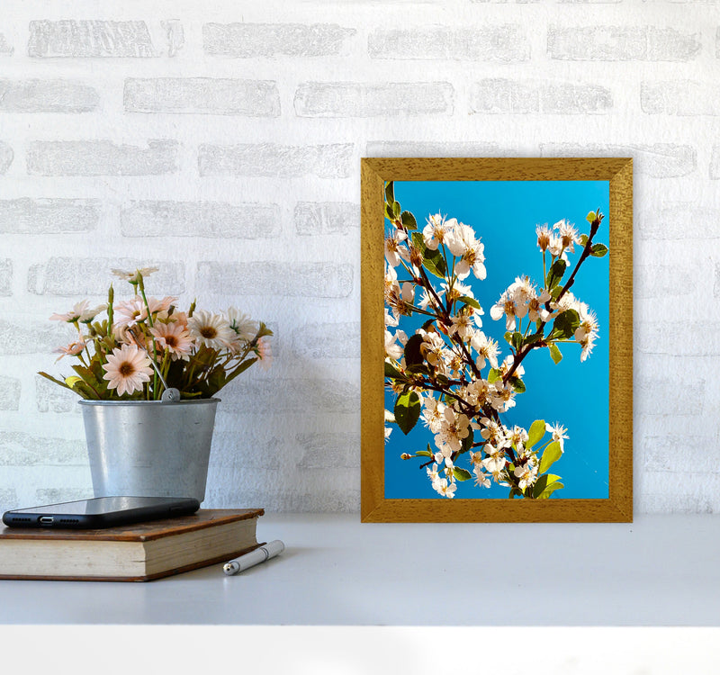 Under Cherry Blossom Art Print by Proper Job Studio A4 Print Only