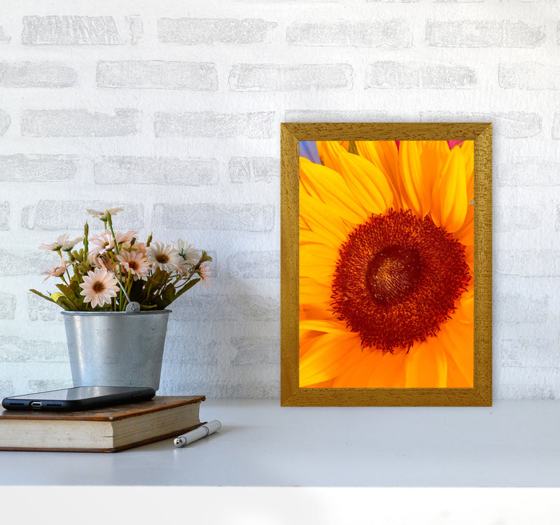 Sunflower Art Print by Proper Job Studio A4 Print Only