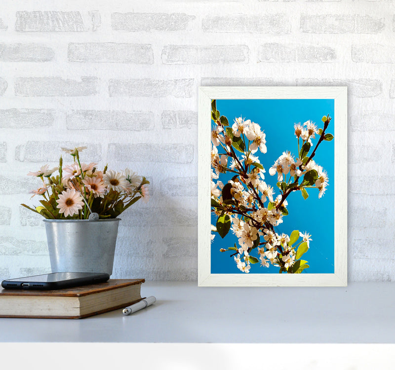 Under Cherry Blossom Art Print by Proper Job Studio A4 Oak Frame