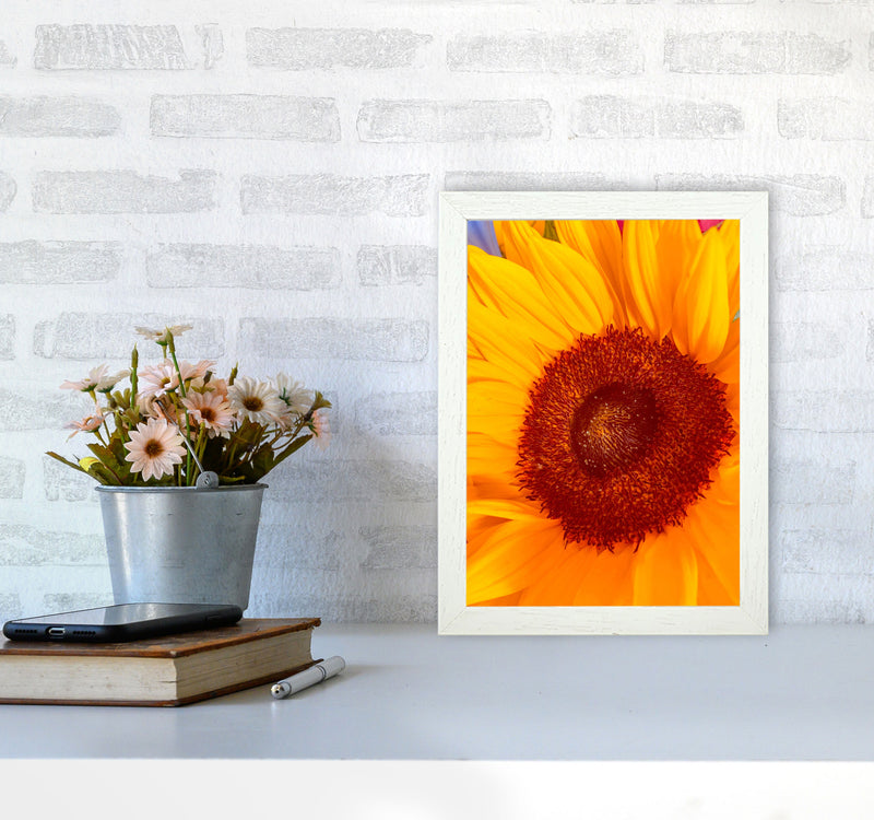 Sunflower Art Print by Proper Job Studio A4 Oak Frame