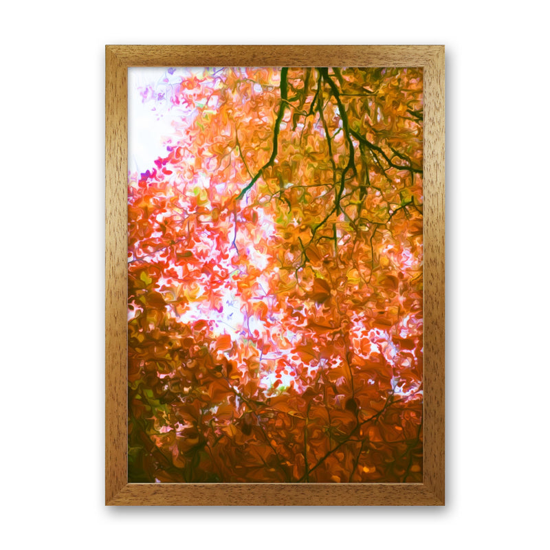 Autumn Leaves Oak Grain
