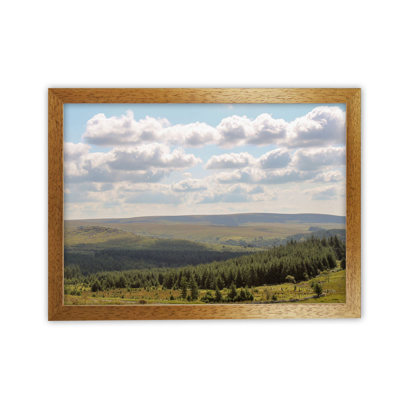 Dartmoor, 2021 Art Print by Proper Job Studio Oak Grain