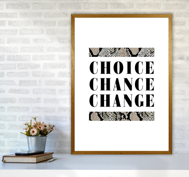 Choice Chance Change Snake By Planeta444 A1 Print Only