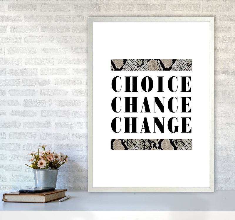 Choice Chance Change Snake By Planeta444 A1 Oak Frame