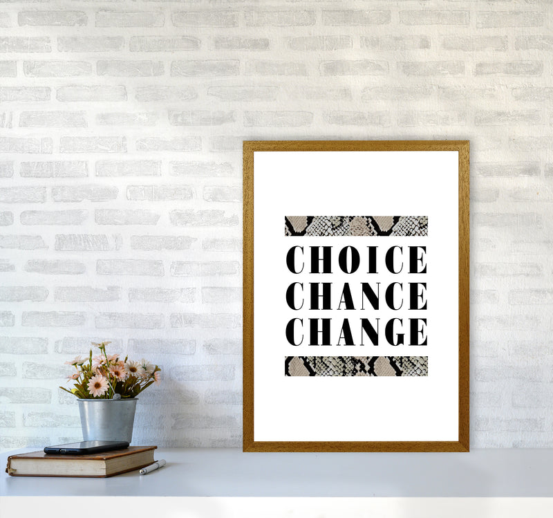 Choice Chance Change Snake By Planeta444 A2 Print Only