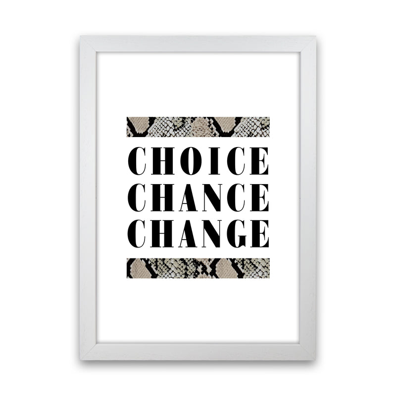 Choice Chance Change Snake By Planeta444 White Grain