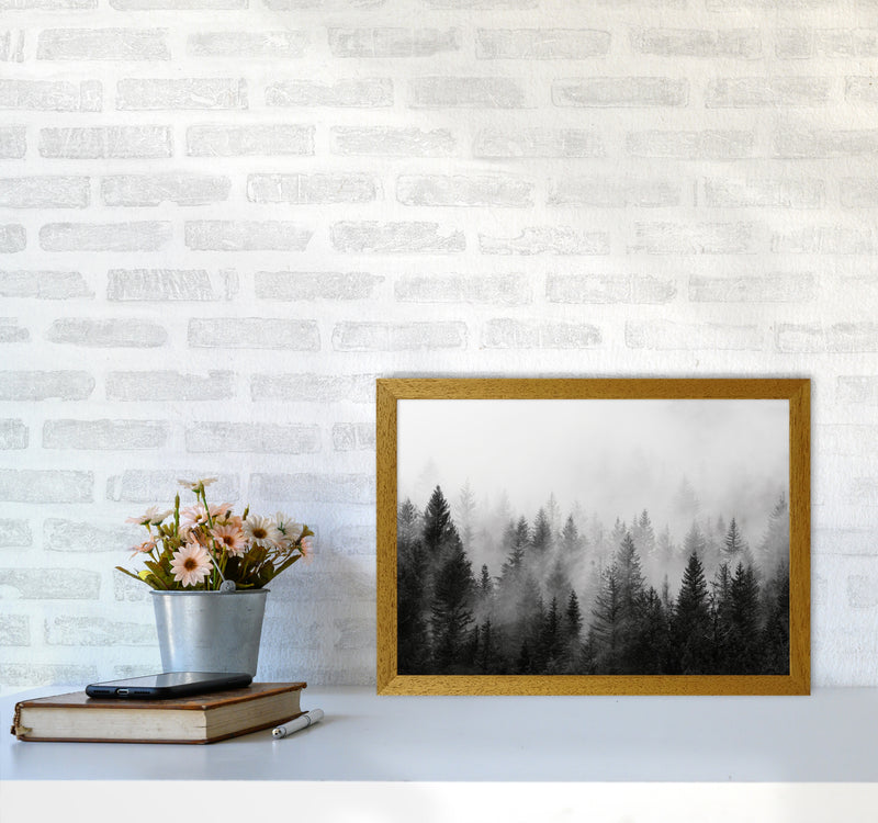 B&W Forest Photography Art Print by Seven Trees Design