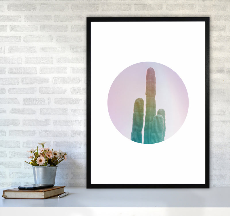 Circular Cacti Art Print by Seven Trees Design A1 White Frame