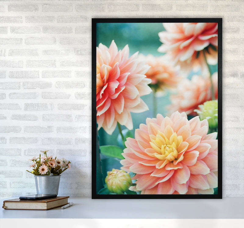 Happy Flowers Photography Art Print by Seven Trees Design A1 White Frame