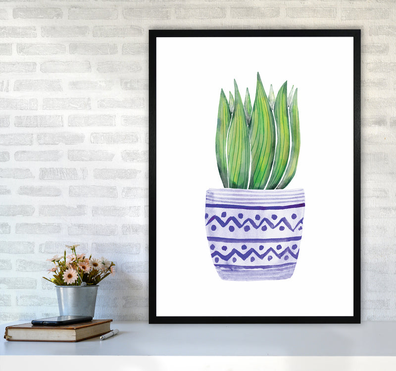 The Blue Succulent Art Print by Seven Trees Design A1 White Frame