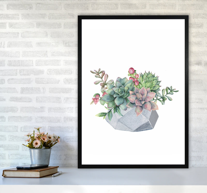 The Watercolor Succulents Art Print by Seven Trees Design A1 White Frame