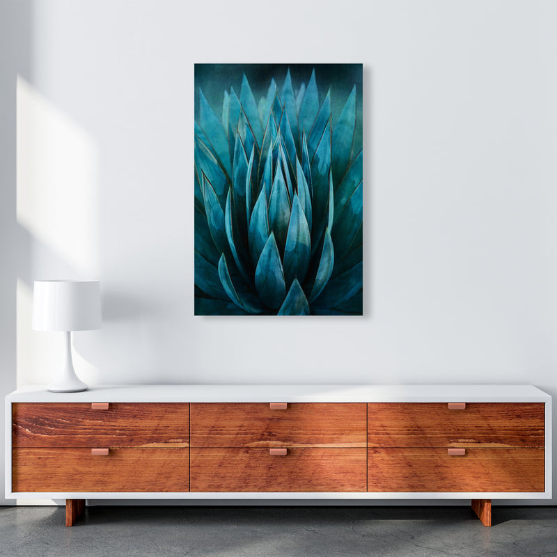 Blue Succulent Art Print by Seven Trees Design A1 Canvas