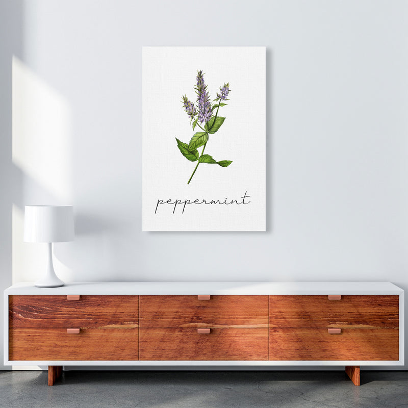 peppermint Art Print by Seven Trees Design A1 Canvas