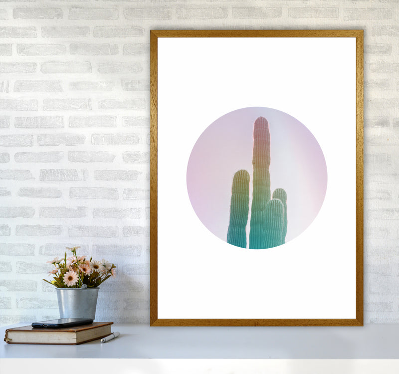 Circular Cacti Art Print by Seven Trees Design A1 Print Only
