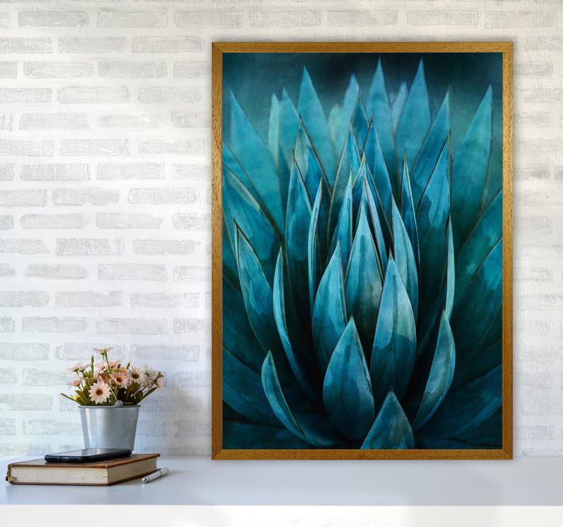 Blue Succulent Art Print by Seven Trees Design A1 Print Only
