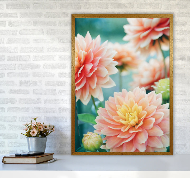 Happy Flowers Photography Art Print by Seven Trees Design A1 Print Only