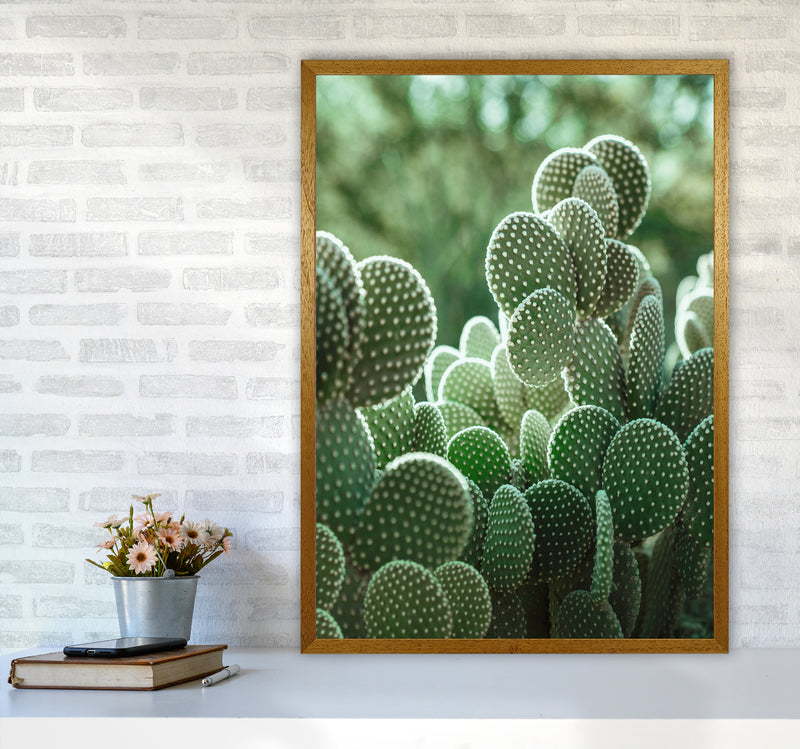 The Cacti Cactus Photography Art Print by Seven Trees Design A1 Print Only