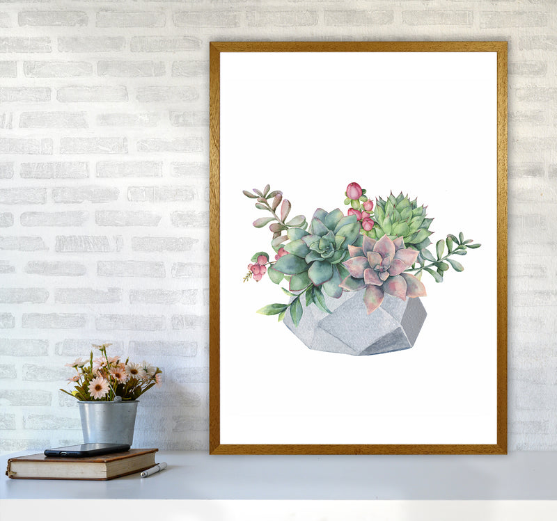 The Watercolor Succulents Art Print by Seven Trees Design A1 Print Only