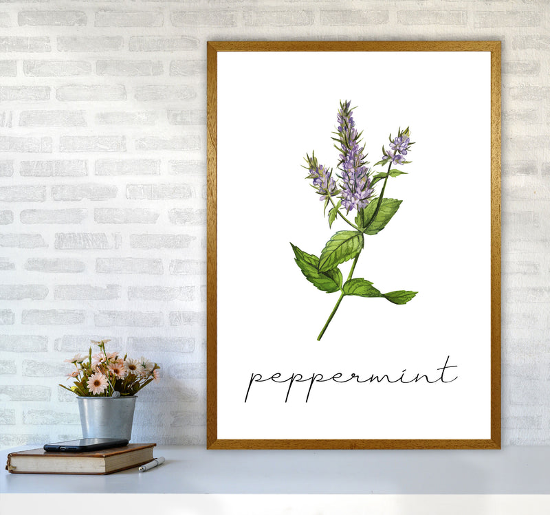 peppermint Art Print by Seven Trees Design A1 Print Only