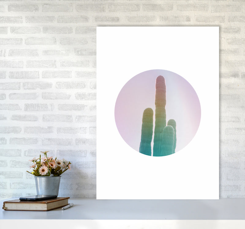 Circular Cacti Art Print by Seven Trees Design A1 Black Frame