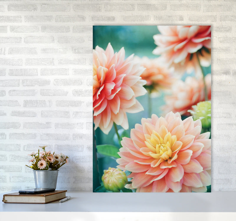 Happy Flowers Photography Art Print by Seven Trees Design A1 Black Frame