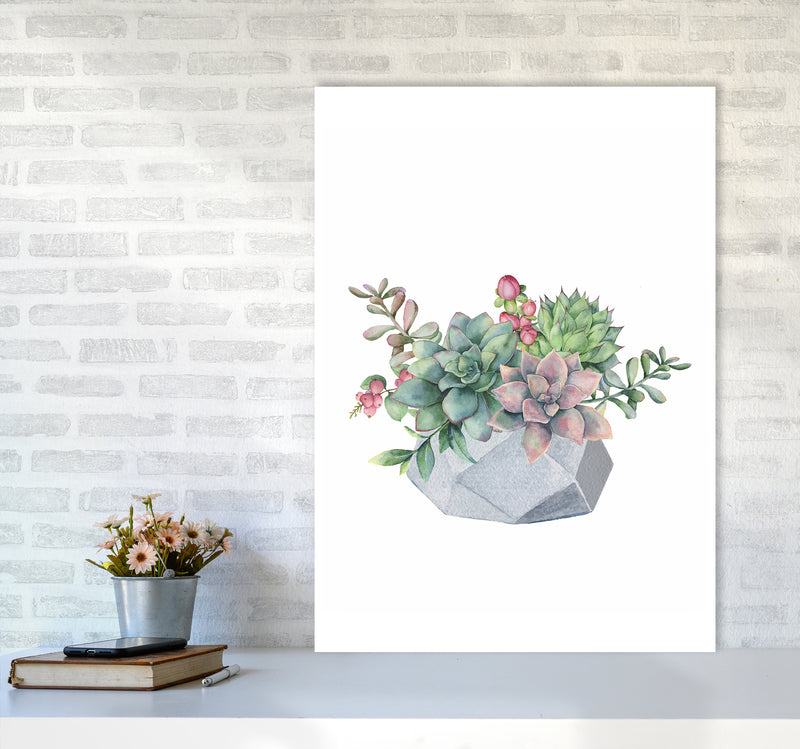 The Watercolor Succulents Art Print by Seven Trees Design A1 Black Frame