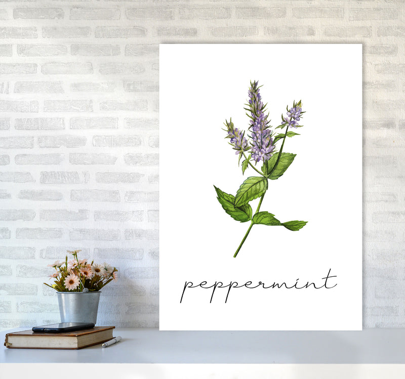 peppermint Art Print by Seven Trees Design A1 Black Frame