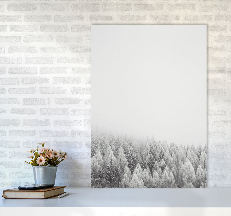 The White Forest Art Print by Seven Trees Design A1 Black Frame