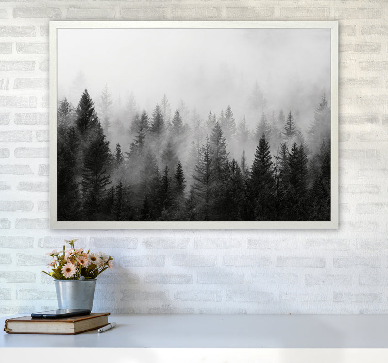 B&W Forest Photography Art Print by Seven Trees Design A1 Oak Frame