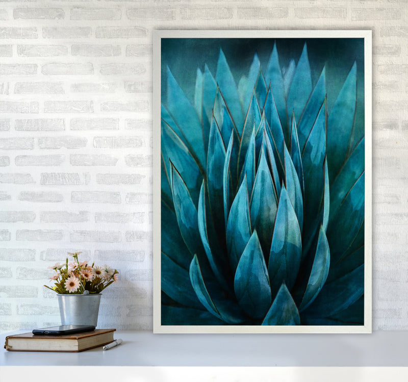 Blue Succulent Art Print by Seven Trees Design A1 Oak Frame