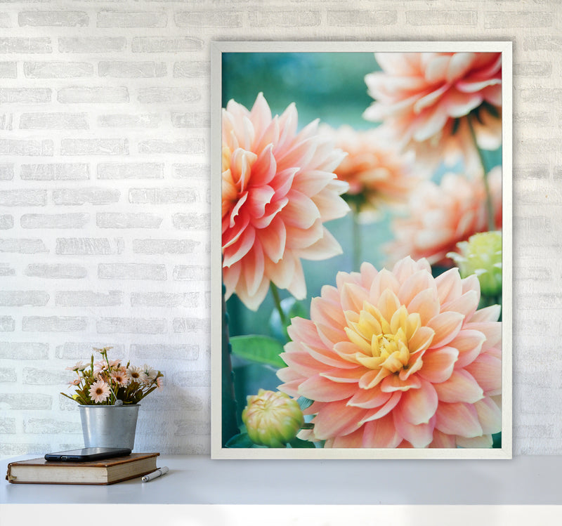 Happy Flowers Photography Art Print by Seven Trees Design A1 Oak Frame