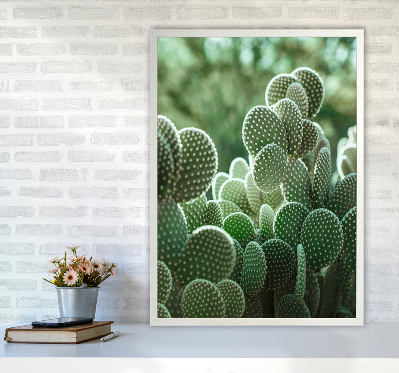 The Cacti Cactus Photography Art Print by Seven Trees Design A1 Oak Frame