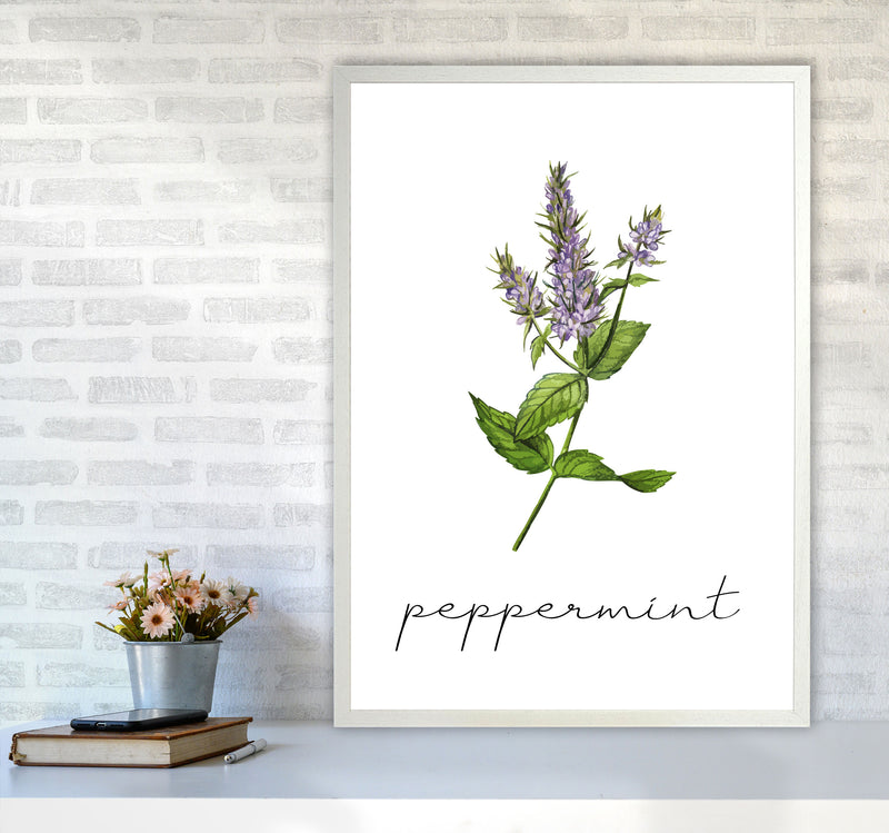 peppermint Art Print by Seven Trees Design A1 Oak Frame