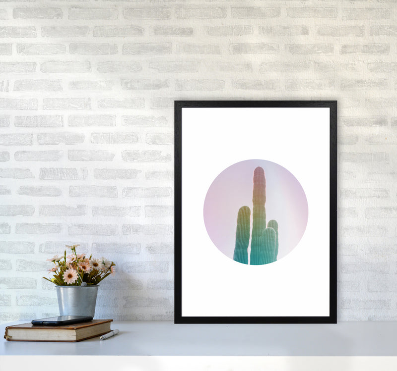 Circular Cacti Art Print by Seven Trees Design A2 White Frame
