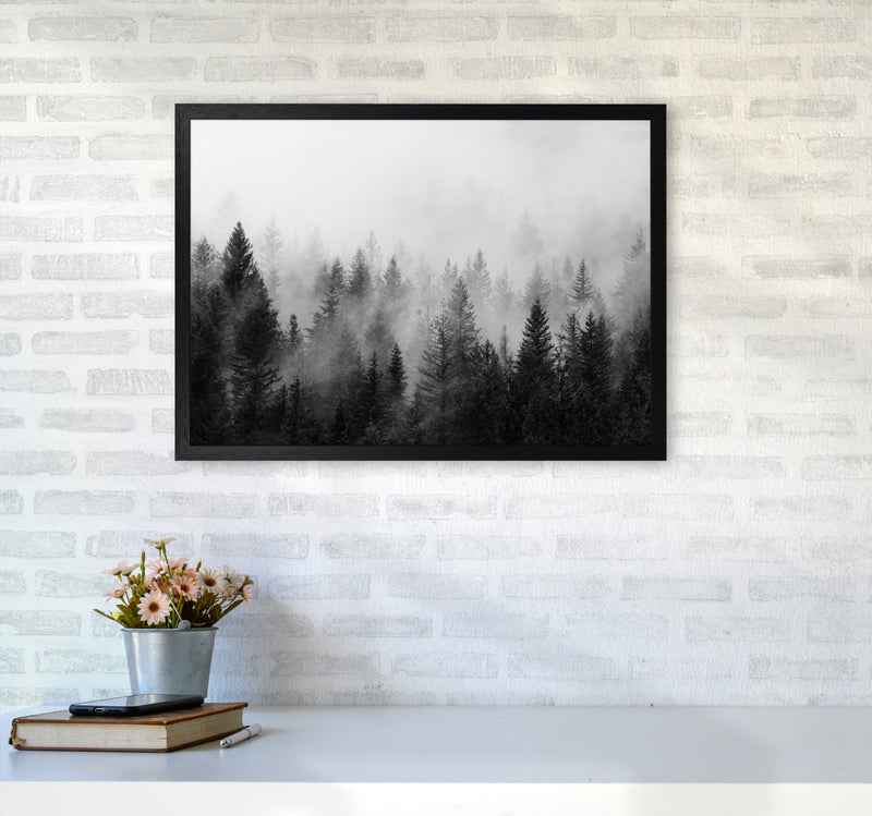 B&W Forest Photography Art Print by Seven Trees Design A2 White Frame