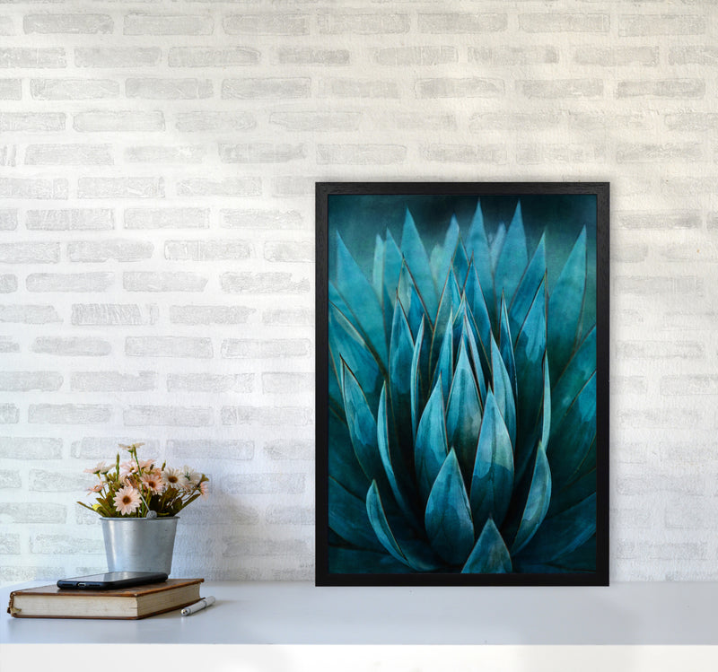 Blue Succulent Art Print by Seven Trees Design A2 White Frame