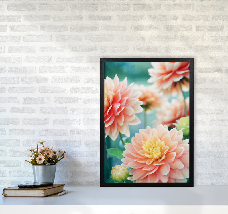 Happy Flowers Photography Art Print by Seven Trees Design A2 White Frame
