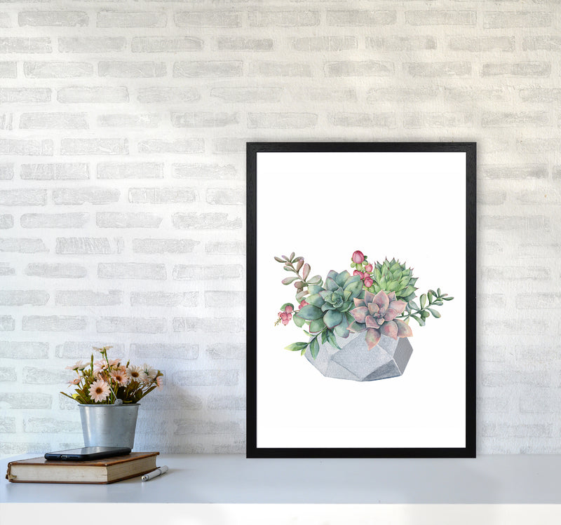 The Watercolor Succulents Art Print by Seven Trees Design A2 White Frame
