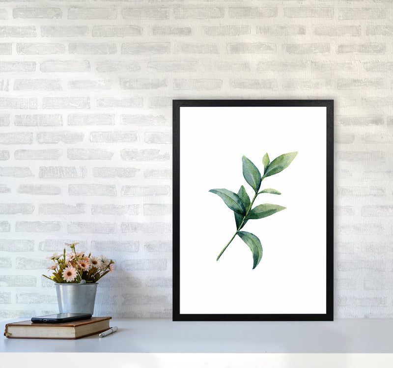 Watercolor Eucalyptus II Art Print by Seven Trees Design A2 White Frame