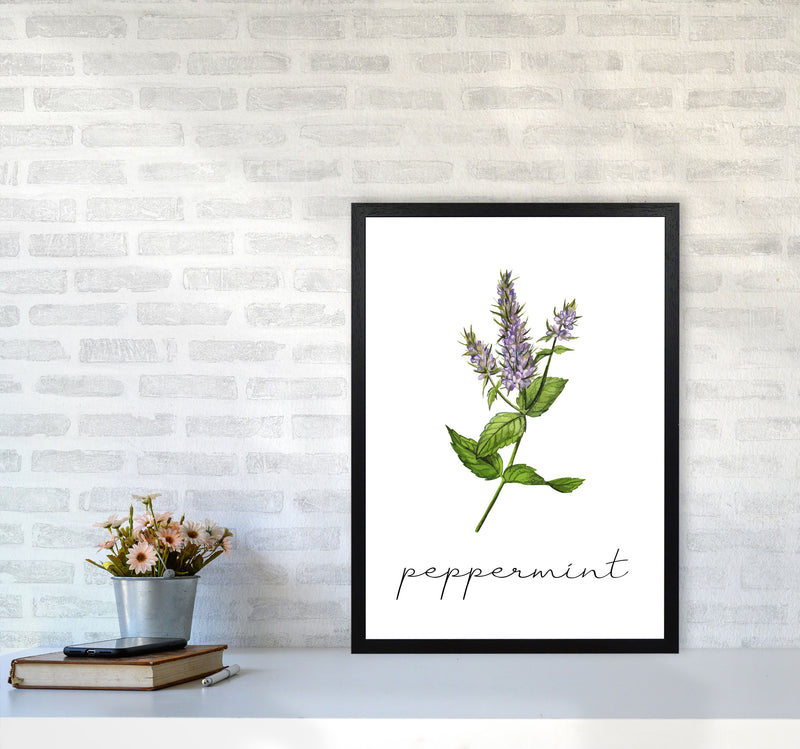 peppermint Art Print by Seven Trees Design A2 White Frame