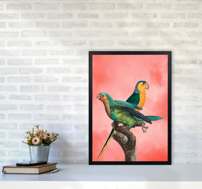 The Birds and the pink sky II Art Print by Seven Trees Design A2 White Frame