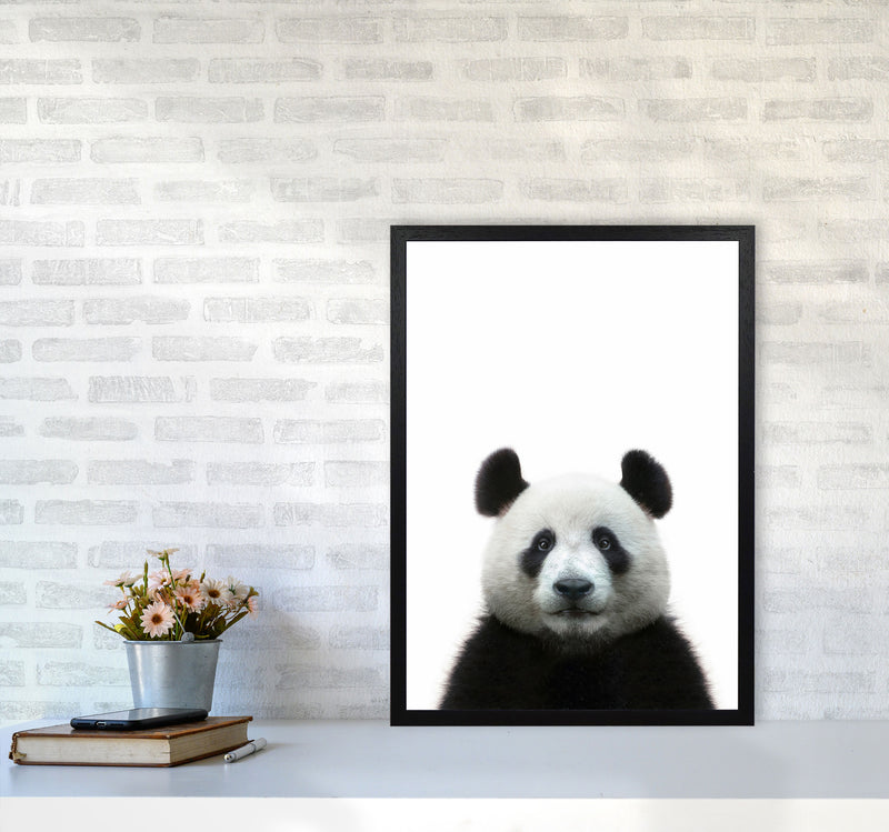 The Panda Art Print by Seven Trees Design A2 White Frame