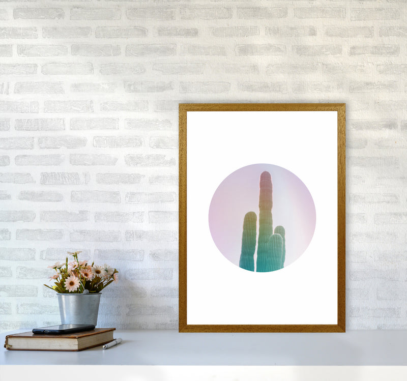 Circular Cacti Art Print by Seven Trees Design A2 Print Only