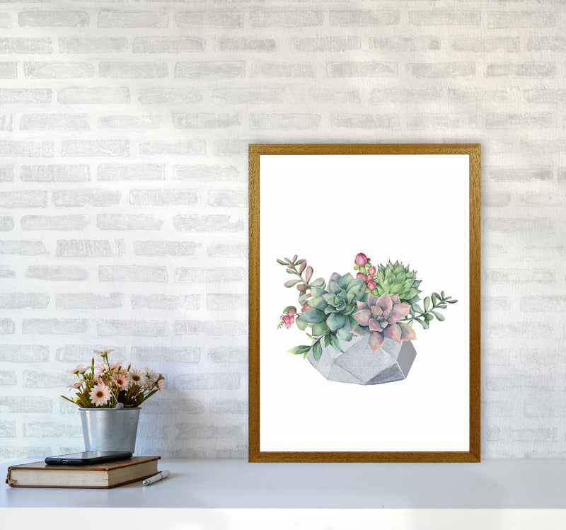 The Watercolor Succulents Art Print by Seven Trees Design A2 Print Only