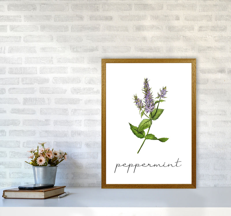 peppermint Art Print by Seven Trees Design A2 Print Only