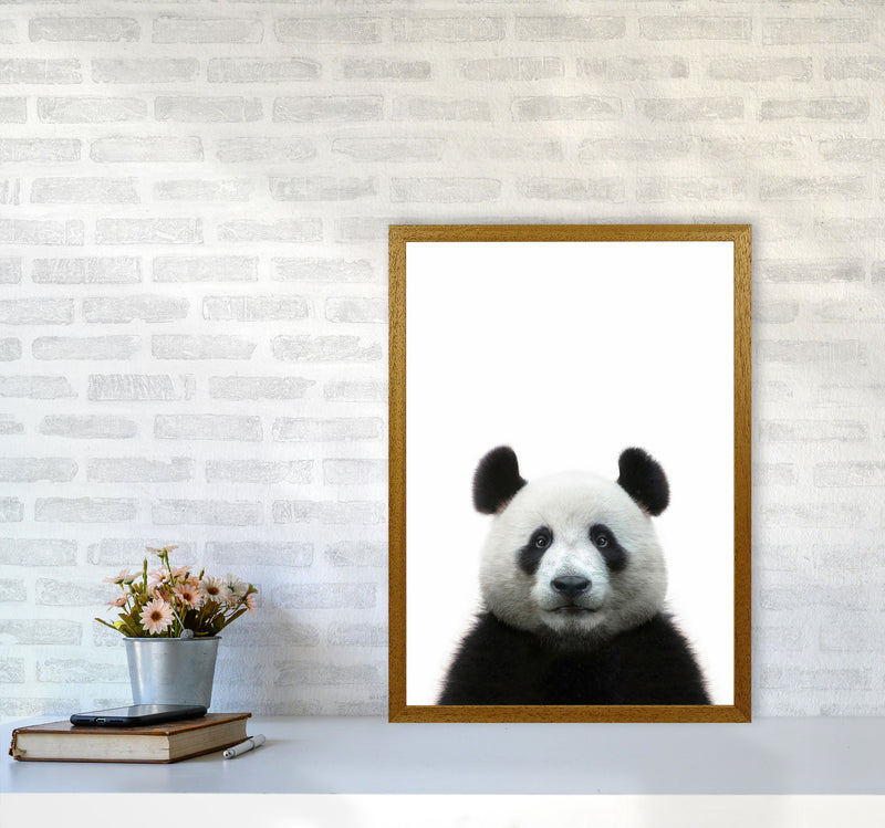 The Panda Art Print by Seven Trees Design A2 Print Only
