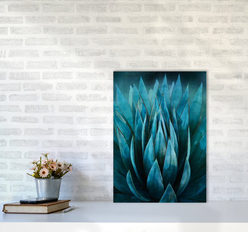 Blue Succulent Art Print by Seven Trees Design A2 Black Frame
