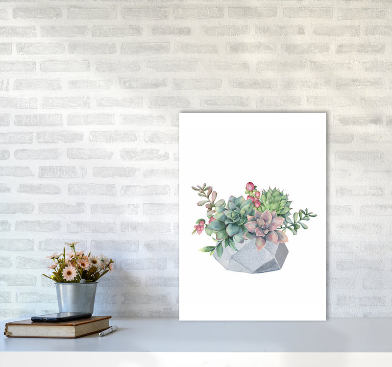 The Watercolor Succulents Art Print by Seven Trees Design A2 Black Frame