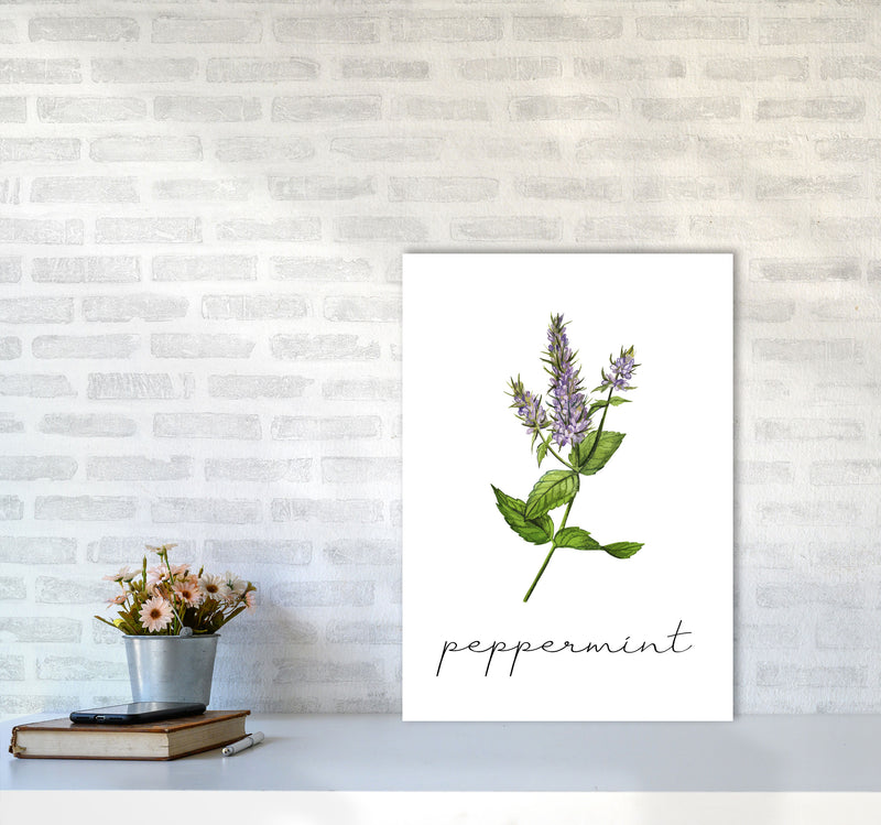 peppermint Art Print by Seven Trees Design A2 Black Frame